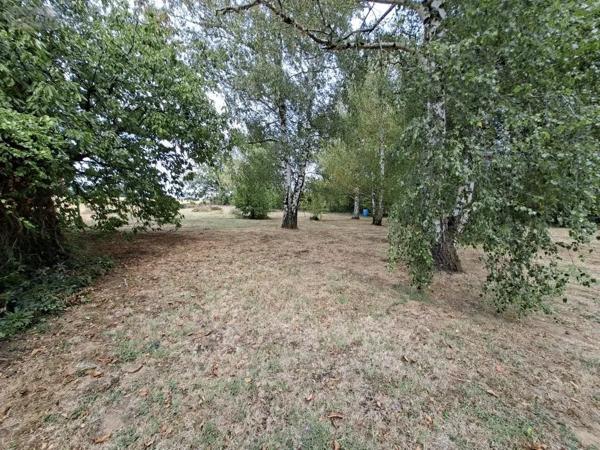 Achat - Terrain à bâtir Artannes-sur-Indre 37260 1270 m 2