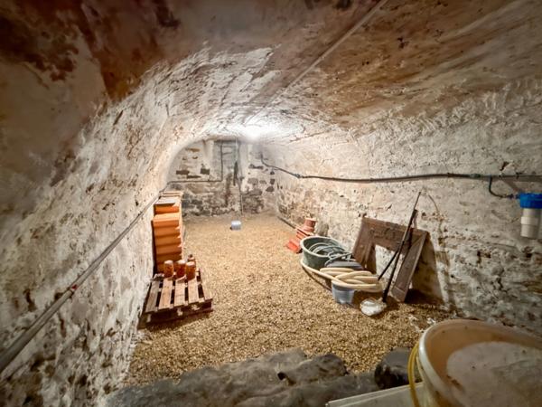 ALLIEZ CHARME ET POTENTIEL : MAISON DE 110 M² AVEC GARAGE, LOCAL COMMERCIAL TRANSFORMABLE, IDEALE POUR PROJET SUR MESURE A LIZY SUR OURCQ (77)