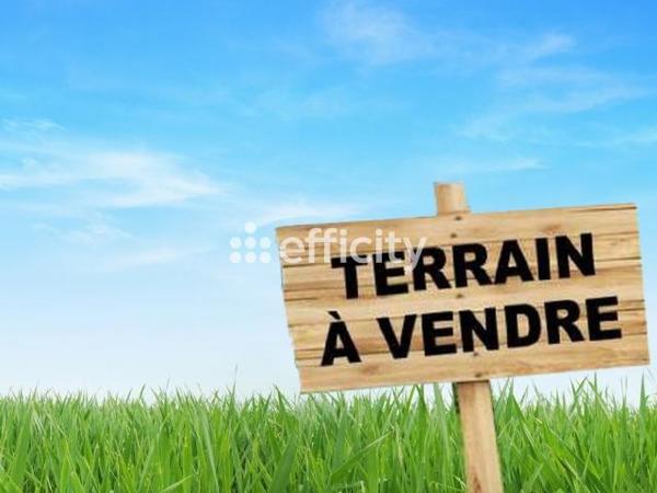 Terrain
        
        - 1090 m² 94 750 € *
