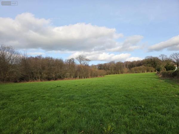 Achat - Maison | Maison rurale Villaines-la-Juhel 53700 8 pièces 142 m 2 25585 m 2