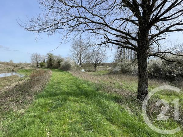 Terrain à vendre  133930 m2 TENDU - 36