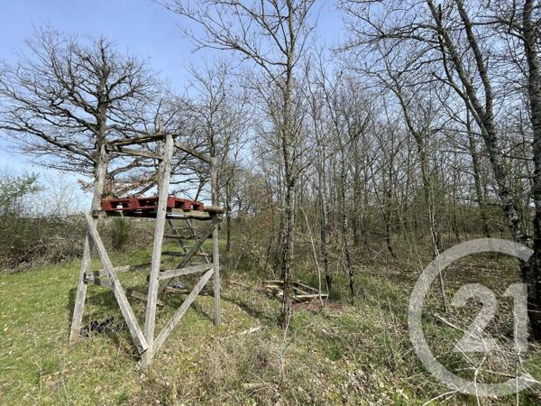 Terrain à vendre  133930 m2 TENDU - 36