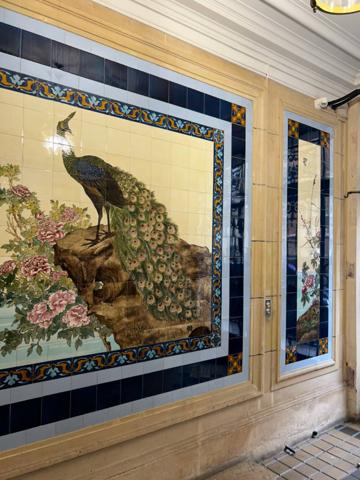 Appartement 1 pièce - 12 m²