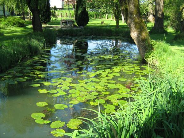 Dpt Isère (38), à vendre LES ABRETS maison P6 de 172 m² sur parc de 9198 m²