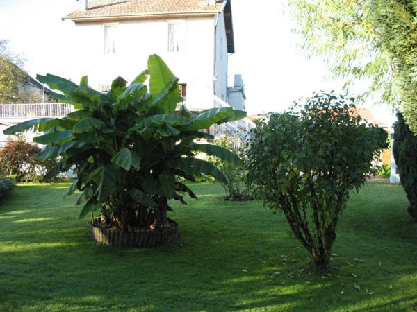 Dpt Isère (38), à vendre LES ABRETS maison P6 de 172 m² sur parc de 9198 m²