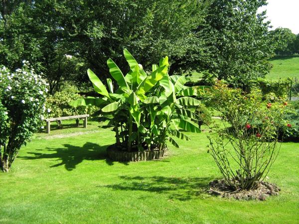 Dpt Isère (38), à vendre LES ABRETS maison P6 de 172 m² sur parc de 9198 m²