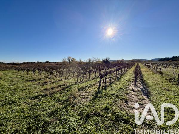 Terrain à vendre 9 227 m² Laudun-l'Ardoise