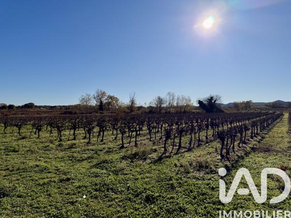 Terrain à vendre 9 227 m² Laudun-l'Ardoise
