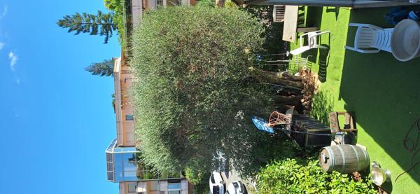 Chamante villa 4 pièces à Minelle !