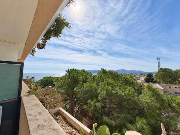 Appartement vue mer Cannes 2 pièces 30.20 m2 terrasse et parking