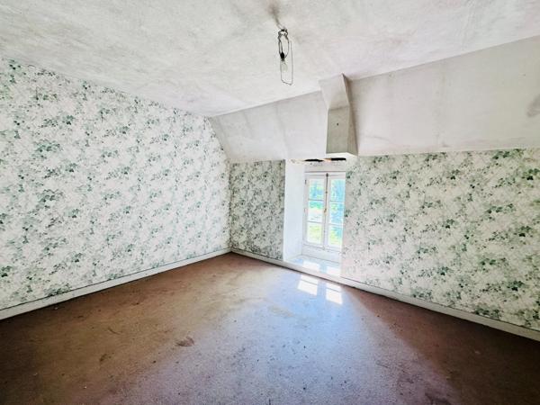 Maison à vendre 6 pièces avec deuxième maison à rénover, double, garage, 11700 m2 terrain LE MESNILBUS (50)