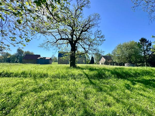 Maison à vendre 6 pièces avec deuxième maison à rénover, double, garage, 11700 m2 terrain LE MESNILBUS (50)