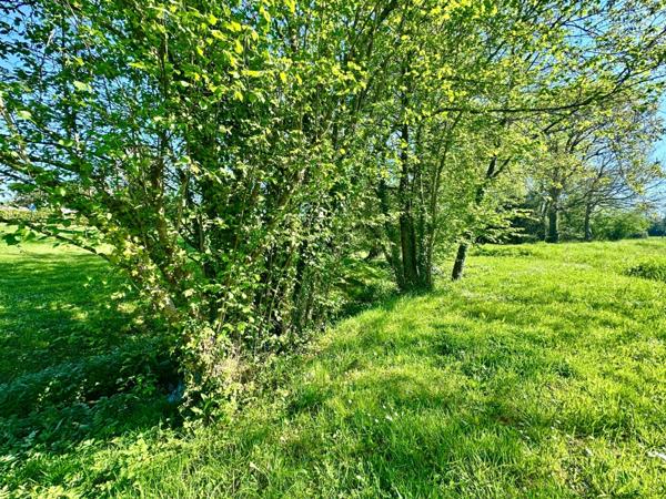 Maison à vendre 6 pièces avec deuxième maison à rénover, double, garage, 11700 m2 terrain LE MESNILBUS (50)