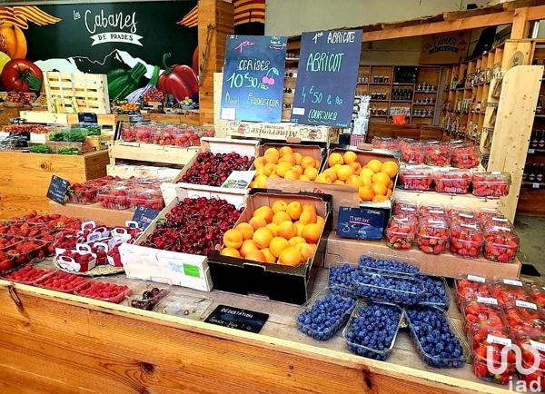 Boutique/Local commercial à vendre 280 m² Prades