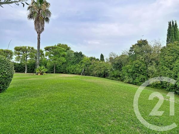 Appartement F3 à vendre  3 pièces - 62,56 m 2   ANTIBES  - 06