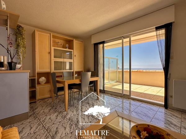 Appartement vue mer avec terrasse et parking