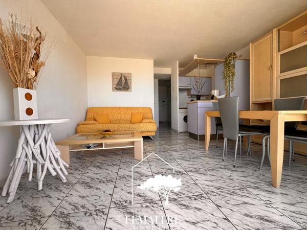 Appartement vue mer avec terrasse et parking