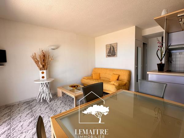 Appartement vue mer avec terrasse et parking