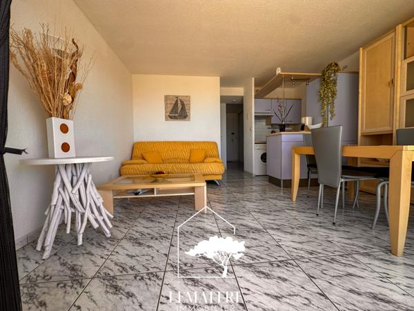 Appartement vue mer avec terrasse et parking