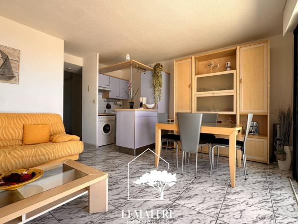 Appartement vue mer avec terrasse et parking