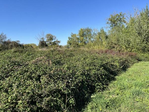 Terrain à vendre |  Caussens |  879 m²