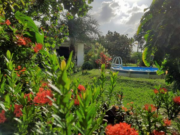 Montabo TERRAIN 2527 m2 avec VILLAS T5+T2 BIS