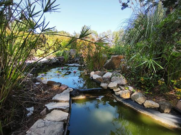 COUP DE COEUR ! Charmante villa 5 p. 126 m2 avec piscine sur un terrain de 700 m² !