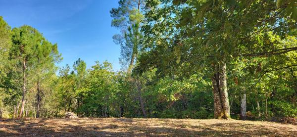 Terrain à Bergerac, 24100 - 4957m²