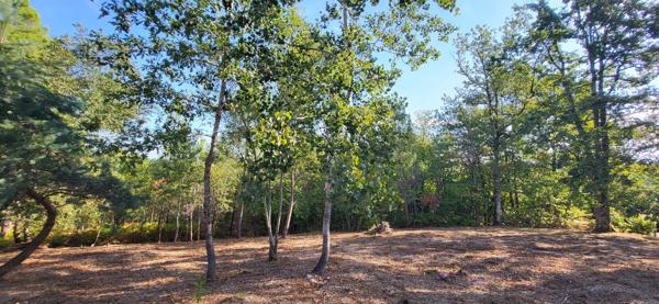 Terrain à Bergerac, 24100 - 4957m²
