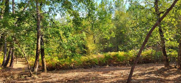 Terrain à Bergerac, 24100 - 4957m²