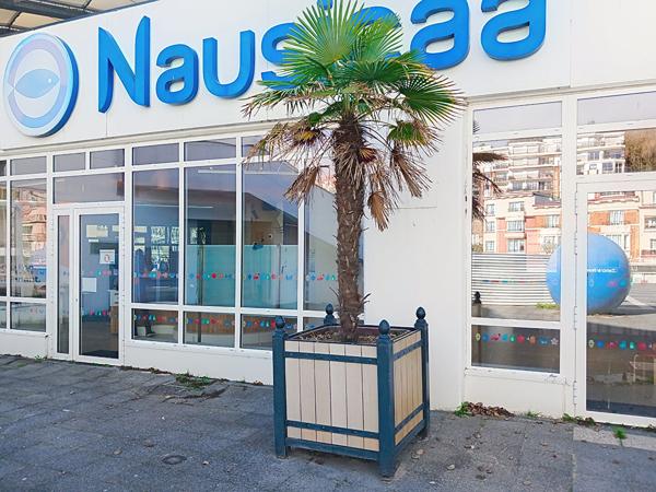 APPARTEMENT BORD DE MER.