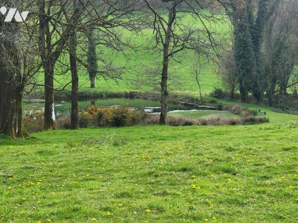 Propriété rurale sur plus de 5 hectares avec étang et dépendances