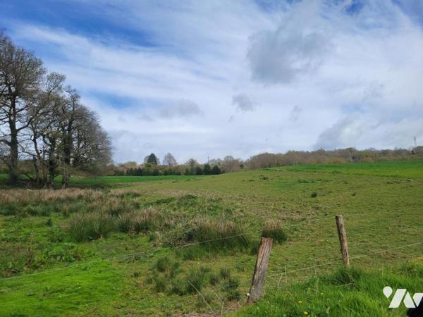 Propriété rurale sur plus de 5 hectares avec étang et dépendances