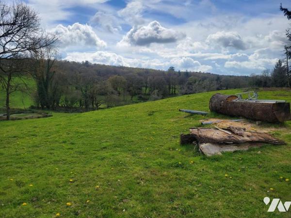 Propriété rurale sur plus de 5 hectares avec étang et dépendances