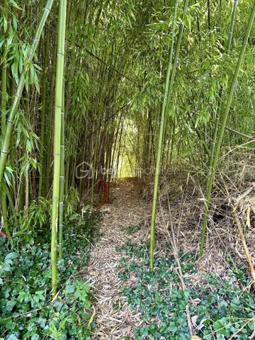 Terrain de 10 000 m²