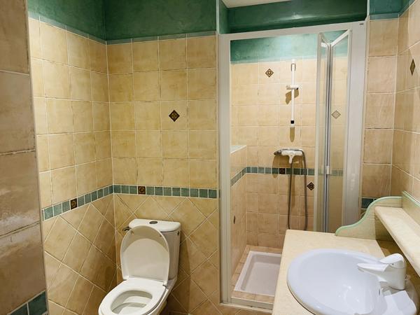 Montamisé (86360) MAISON DE CHARME