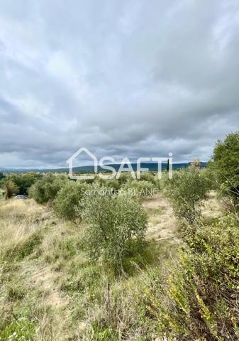 Terrain agricole 4300m²