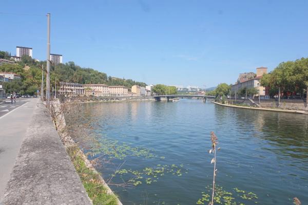 Appartement à vendre 2 pièces LYON 9EME ARRONDISSEMENT (69) - Quai de Scize - Front de Saône
