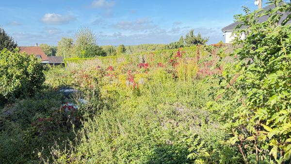 Maison proche NOAILLES, 4 pièces, Séjour /Salon, 2 chambres, Sous sol, Dépendance, Jardin