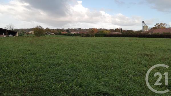 terrain à vendre  1650 m2 SAULT DE NAVAILLES - 64