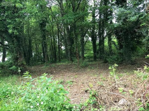 Achat - Terrain à bâtir Aubinges 18220 1257 m 2
