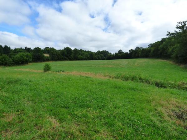 Vente / Maison ancienne