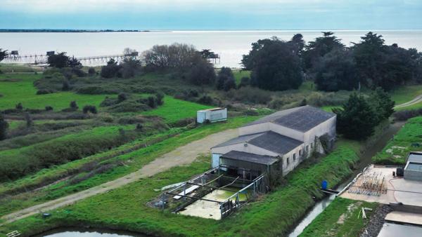 Moutiers-en-Retz (44760) Opportunité d'Investissement : Local Professionnel