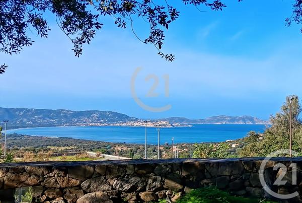 Maison à vendre  5 pièces - 121,21 m 2   AREGNO  - 202