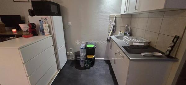 Location Appartement 2 pièces 37 m2 à Albi