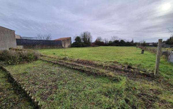 Vente Terrain Surgeres   