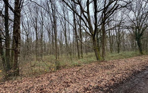 Terrain à vendre    Langon