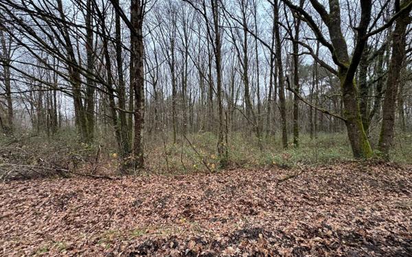 Terrain à vendre    Langon