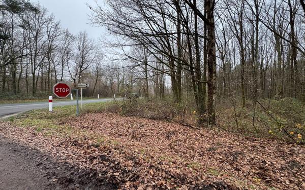 Terrain à vendre    Langon