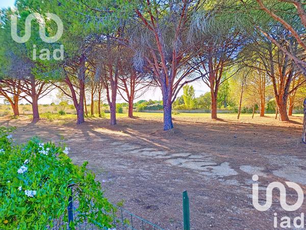 Maison à vendre 7 pièces 196 m² Bessan